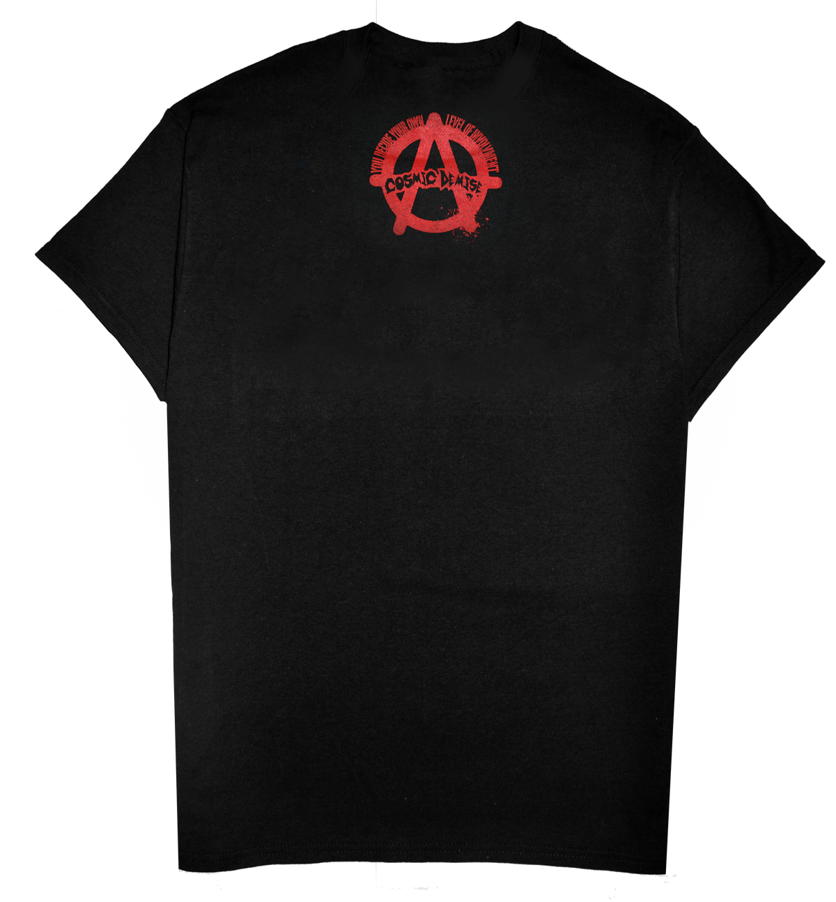 PUNK OF ANARCHY
